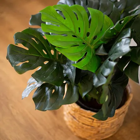 Apartament Cotillo Beachfront Escape La Oliva